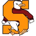 Salisbury Sea Gulls