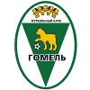 Gomel U19