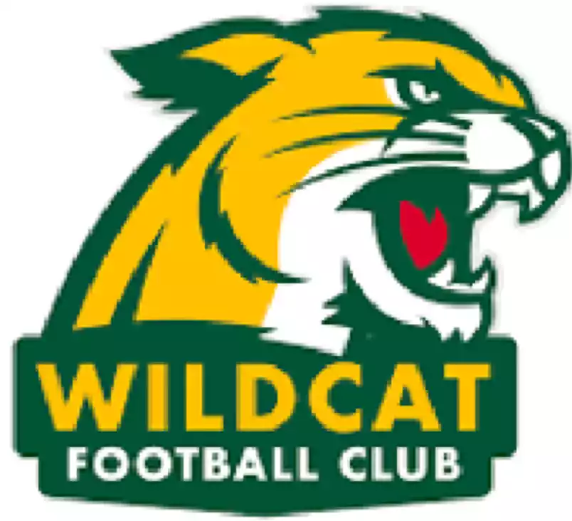 Northern Michigan Wildcats (Women)