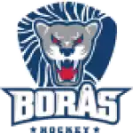Boraas HC