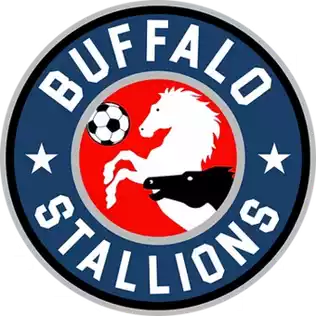 Buffalo Stallions