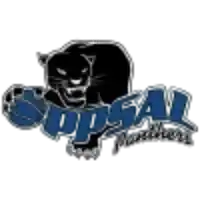 Оппсал Пантерс