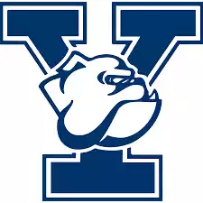 Đội chó bulldog Yale