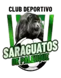 CD Saraguatos de Palenque