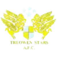 Treowen Stars