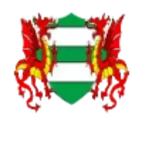 Брикфилд Рэйнджерс