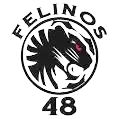 Felinos 48