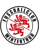 Винтертур (19)