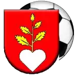 1 FK Buzitka