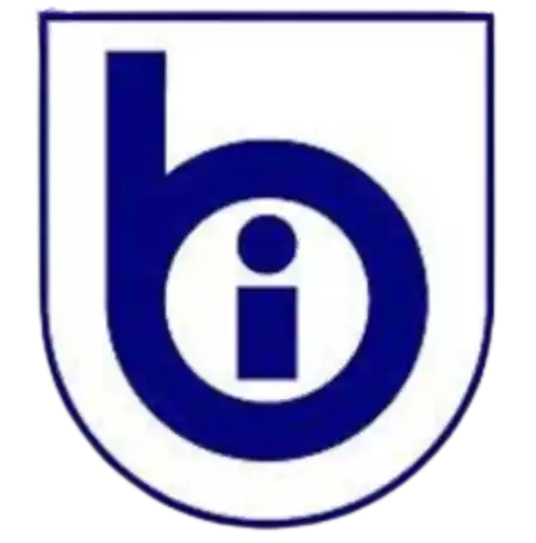 Billund IF