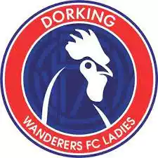 Đội nữ Dorking Wanderers FC