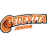 Cedevita Olimpija Youth