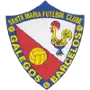 Santa Maria FC