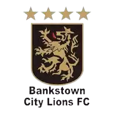 Bankstown City Lions