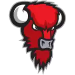 Bisons Loimaa U21