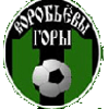 Vorobievy Gory U15