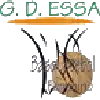 Gdessa Barreiro (Nữ)
