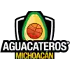 Aguacateros De Michoacan