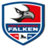 Heilbronner Falken