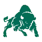 Đội Bison Bethany