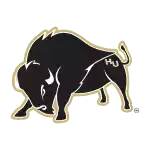 Harding Bisons