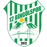 12 Bingol Spor
