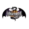 Yamagata Wyverns
