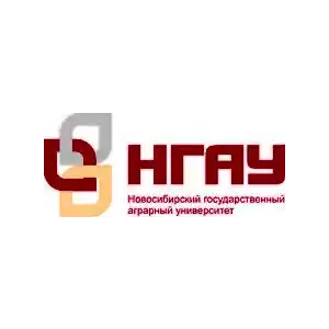 НГАУ Новосибирск