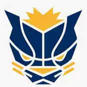 Pacers Gaming