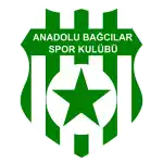 Anadolu Bagcilar Spor