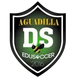 Ds Edusoccer