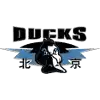 Beijing Ducks II