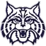 Đội bóng Wildcats Wilmington