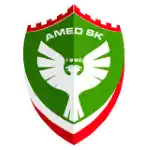 Amed Sportif Faaliyetler
