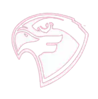 Falcons Bang Bang Fairmont State (Nữ)