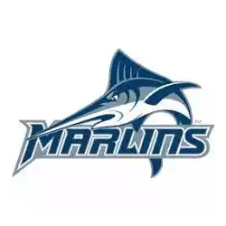 Virginia Wesleyan Marlins