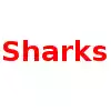 Sharks (Women)