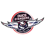 Angers Ducs