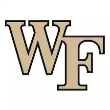 Đội bóng bầu dục Wake Forest Demonacons