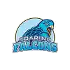 Đội bóng Adamson Falcons (Thanh thiếu niên)