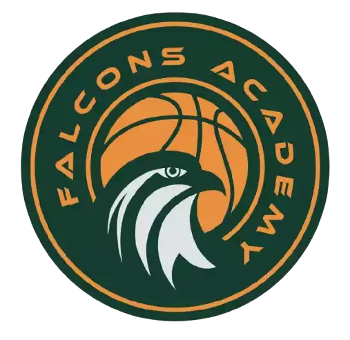 Falcons Academy Dubai U19