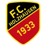 FC Holzhausen