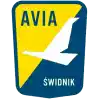 Авиа Свидник