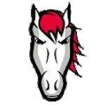 Лейчестер Райдер