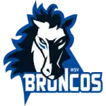 WSV Broncos