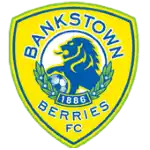 Canterbury Bankstown