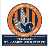 Pegasus Saint-James