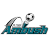 Saint-Louis Ambush