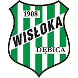KS Wisloka Debica