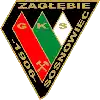 Zaglebie Sosnowiec U19